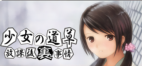 少女的道草~放学后的内幕