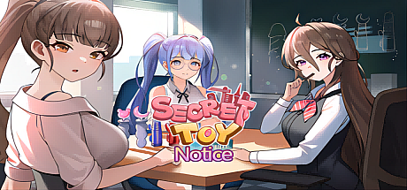 秘密玩具 Secret Toy-STEAM官中