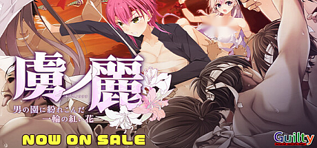 虜之丽 ~混迹男人园中的一朵红花~+DLC