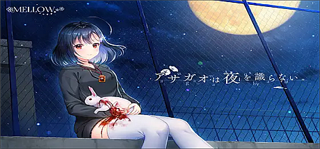 牵牛花不识夜间