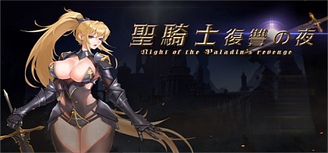 圣骑士复仇之夜